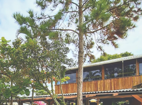 Captura de tela 2025-05-19 152253